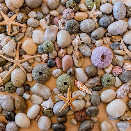 Apartmán Archangelos *