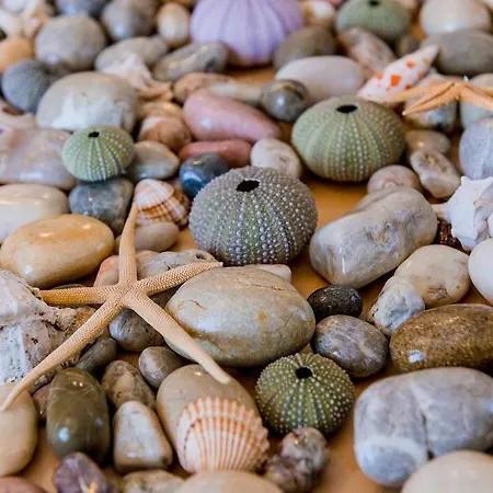 Apartmán Archangelos *