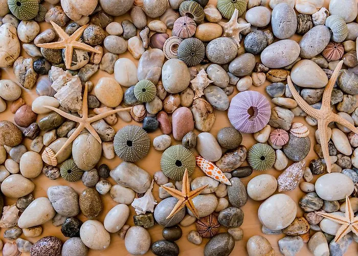 Appartement Archangelos *