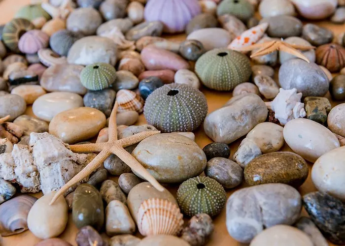 شقة Archangelos *